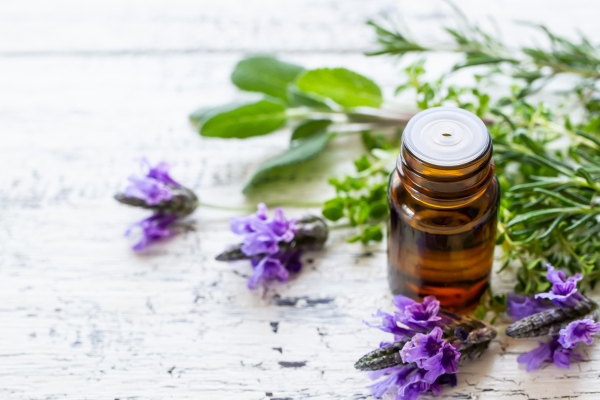 オフィス×アロマで職場はどう変わる?生産性を高める空間づくりの新常識